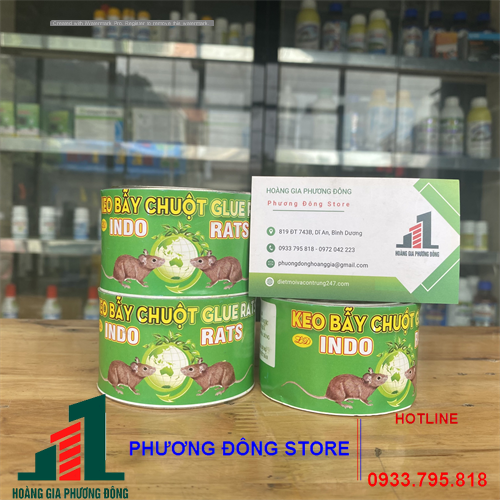 Keo bẫy chuột dạng lon